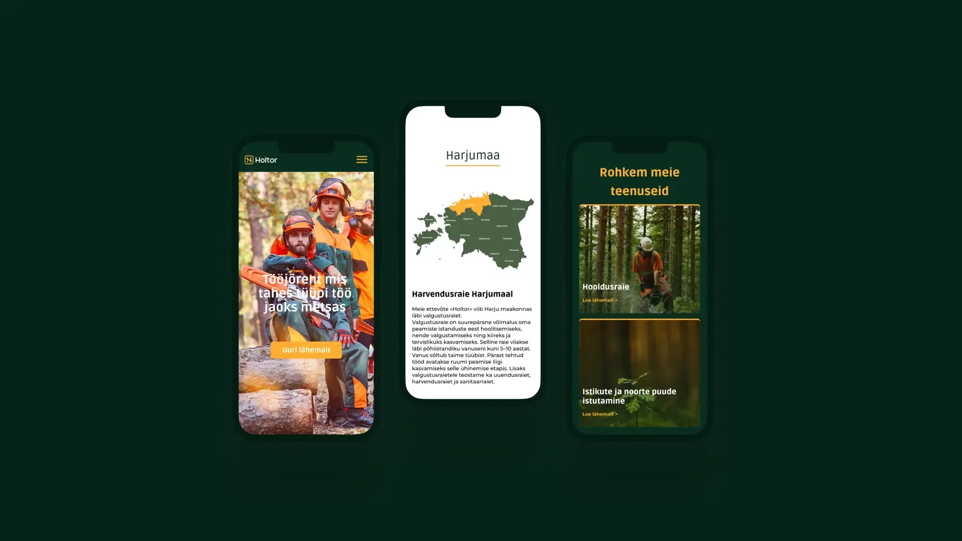 Holtor — project screenshot